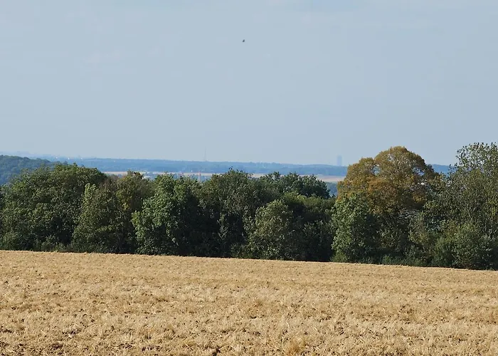 La Cle Des Champs